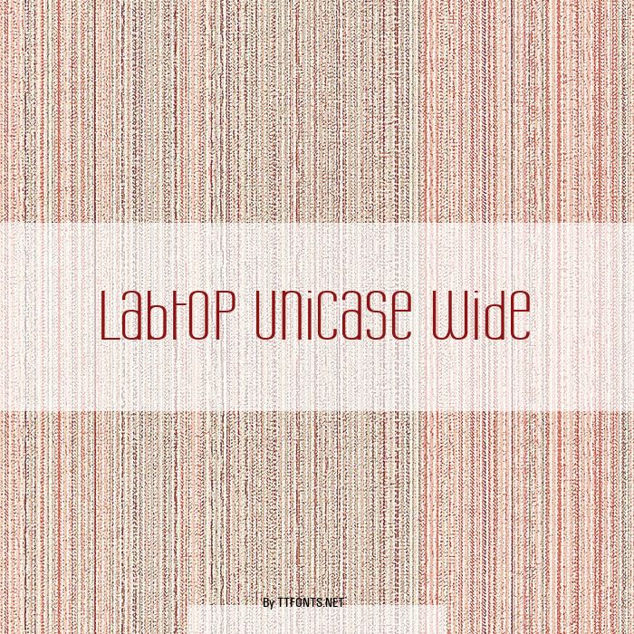 Labtop Unicase Wide example